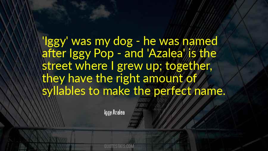 Iggy Quotes #1133222