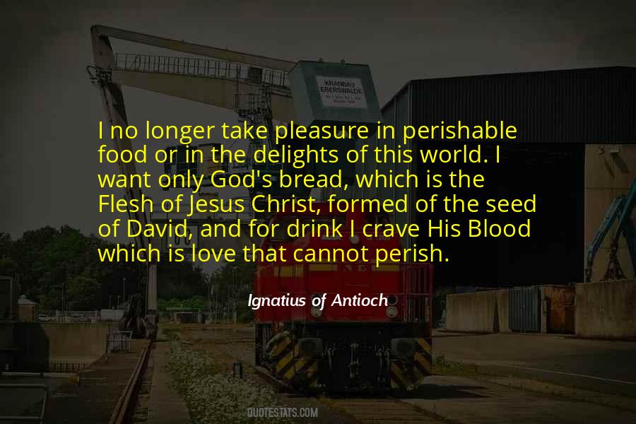 Ignatius Antioch Quotes #1001775