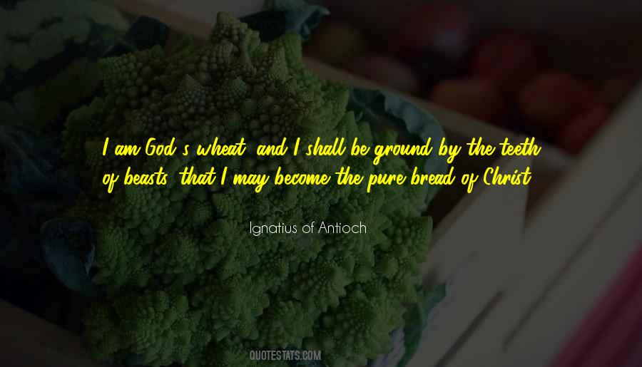 Ignatius Antioch Quotes #379381