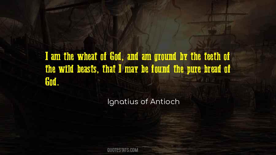 Ignatius Antioch Quotes #823959