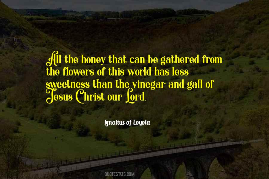 Ignatius Loyola Quotes #392926