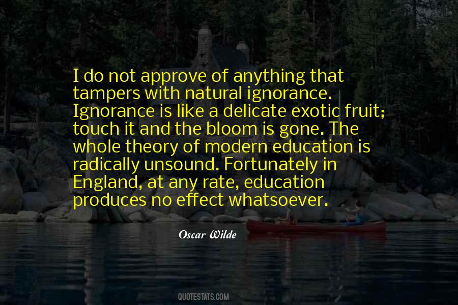 Ignorance And Education Quotes #451457