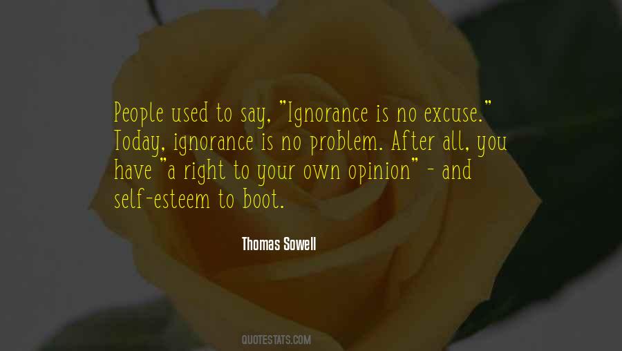 Ignorance Is No Excuse Quotes #1523913