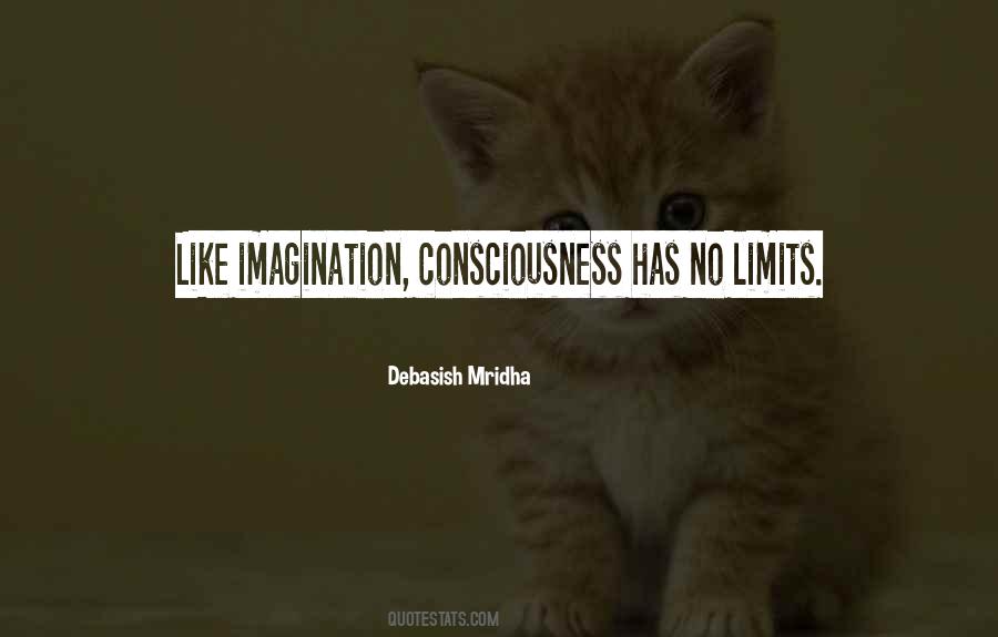 Imagination Has No Limits Quotes #284567