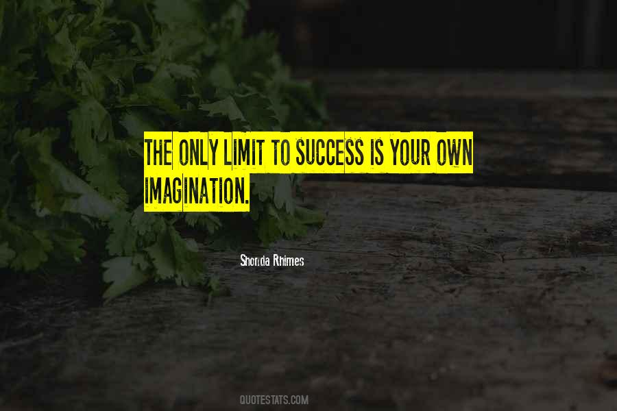 Imagination Has No Limits Quotes #81524