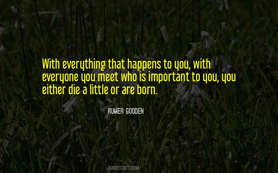 Important To You Quotes #1723072