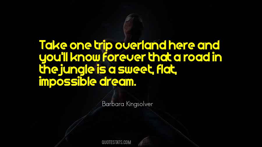 Impossible Dream Quotes #1804163