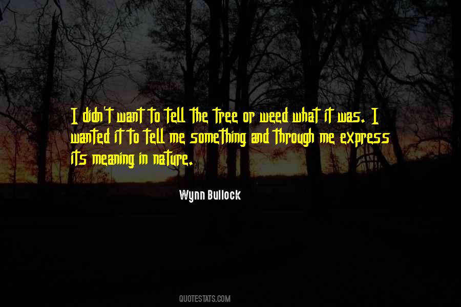 In Loving Memory Of Brother Quotes #301484