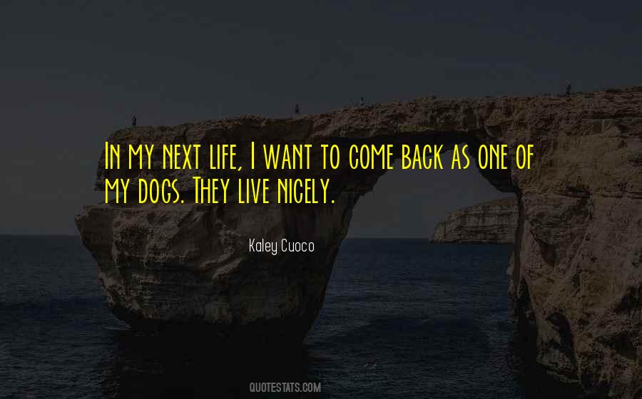 In My Next Life Quotes #1696104