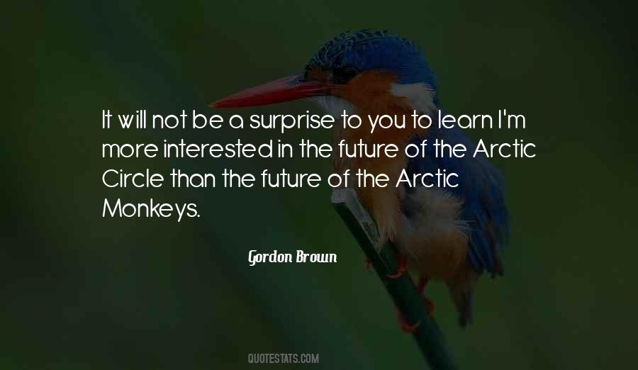 Quotes About The Arctic Circle #365243