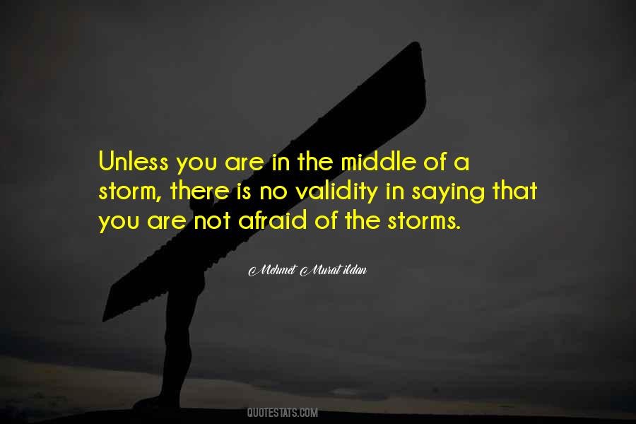 In The Middle Of A Storm Quotes #1201641