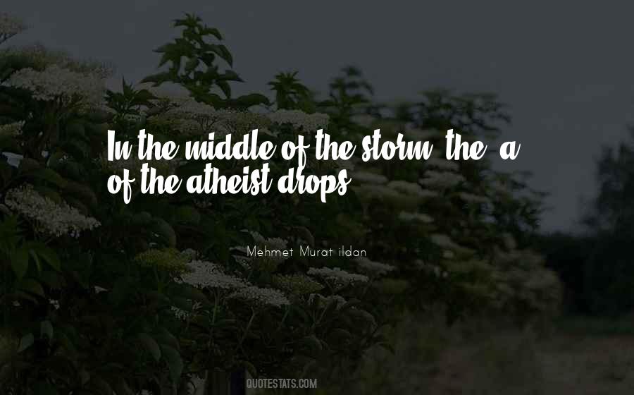 In The Middle Of A Storm Quotes #1871948