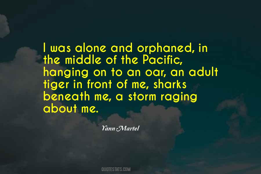 In The Middle Of A Storm Quotes #384051