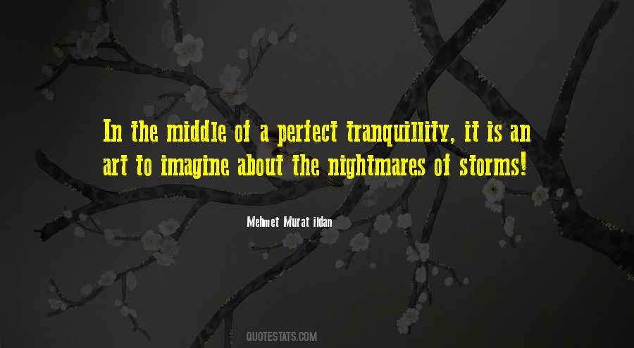 In The Middle Of A Storm Quotes #520261