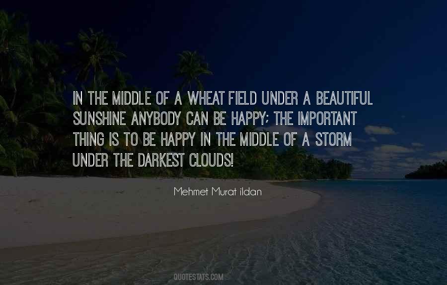 In The Middle Of A Storm Quotes #982434