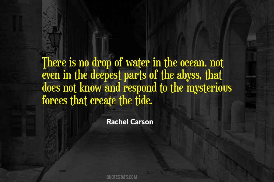 In The Ocean Quotes #1195517