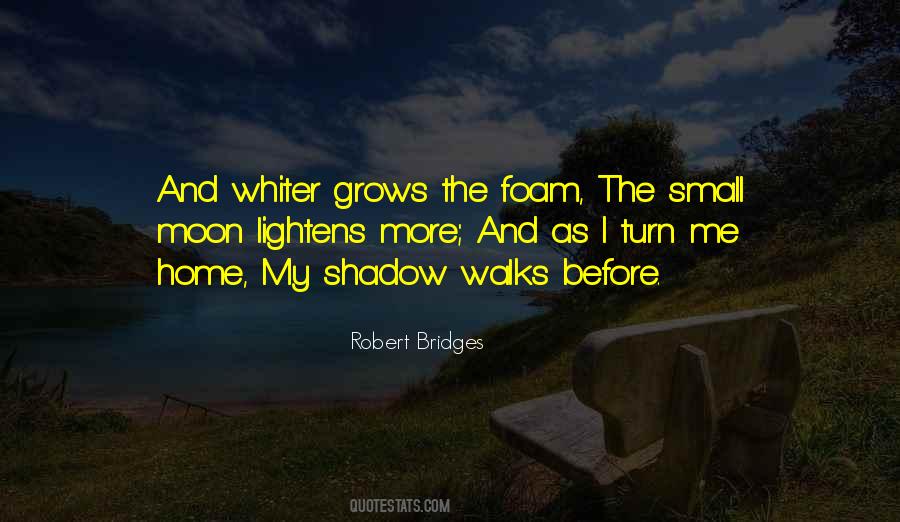 In The Shadow Of The Moon Quotes #492531