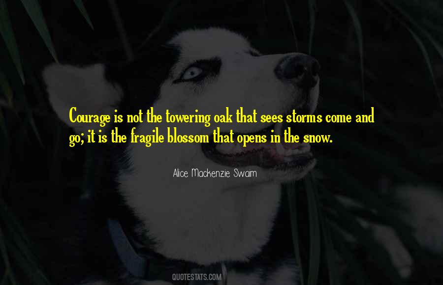 In The Snow Quotes #1188654