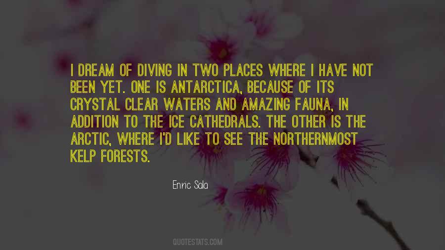 Quotes About The Arctic #1051573