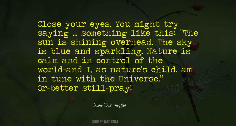 In Tune With The Universe Quotes #1275516