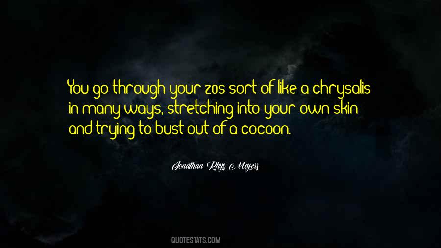 In Your 20s Quotes #496985