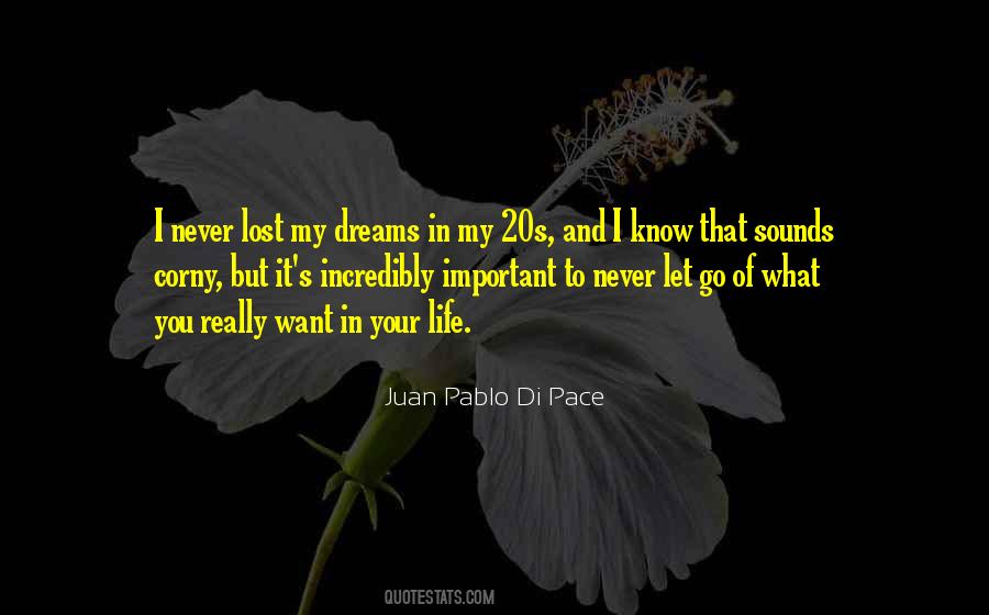 In Your 20s Quotes #567955