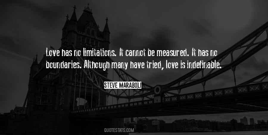 Indefinable Love Quotes #1179515