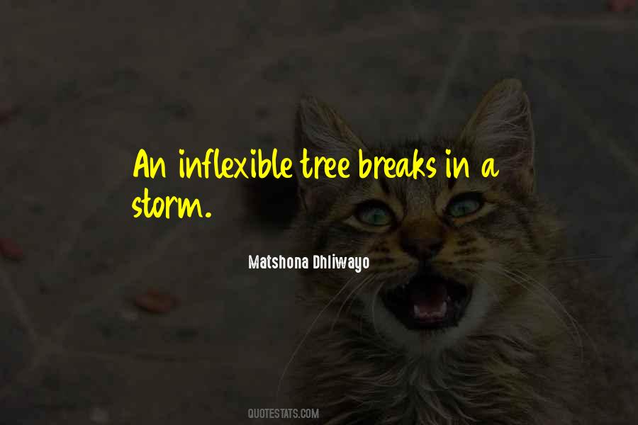 Inflexible Quotes #64210
