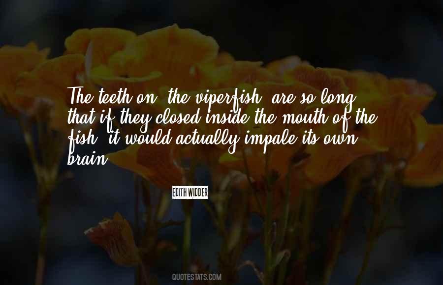 Inside The Quotes #13113 Inside The Quotes #13113