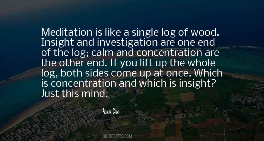 Insight Meditation Quotes #118323