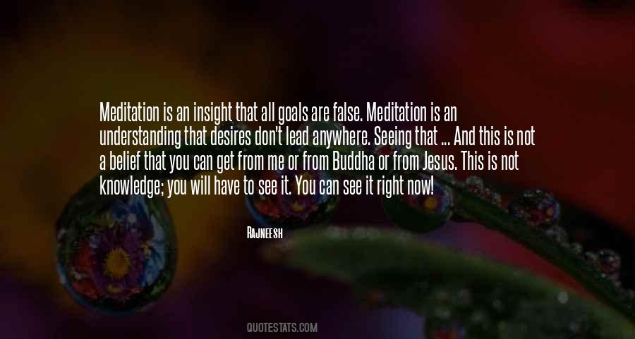 Insight Meditation Quotes #500433