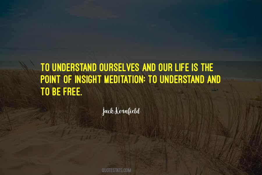 Insight Meditation Quotes #971654