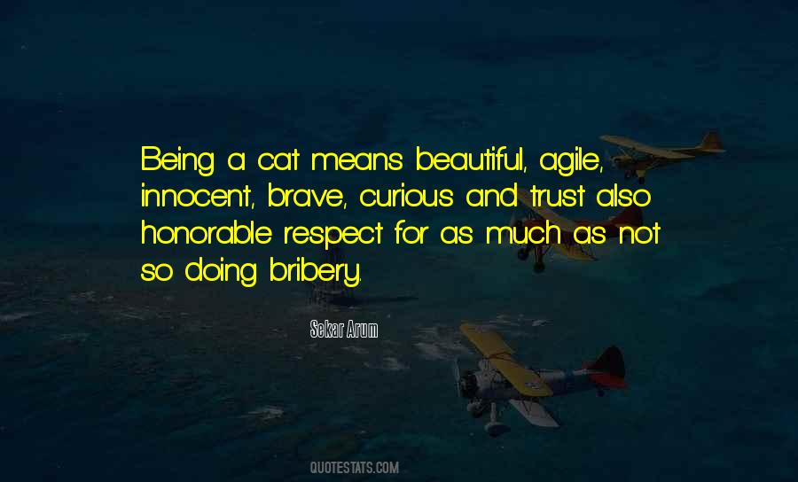 Inspirational Cat Quotes #1674644