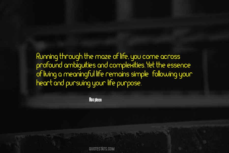 Quotes About The Ambiguity Of Life #1092054