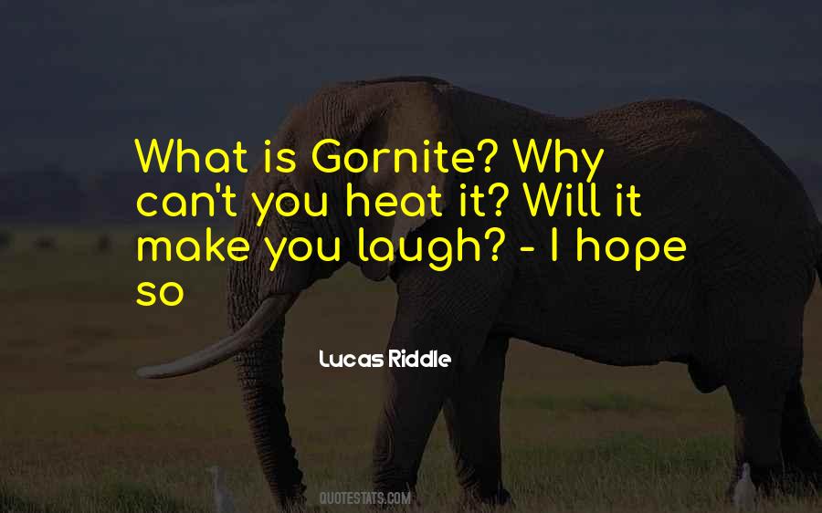 Inspirational Riddle Quotes #7119