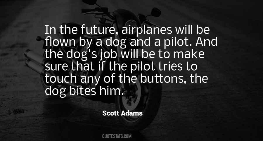 Quotes About The Airplane #66898