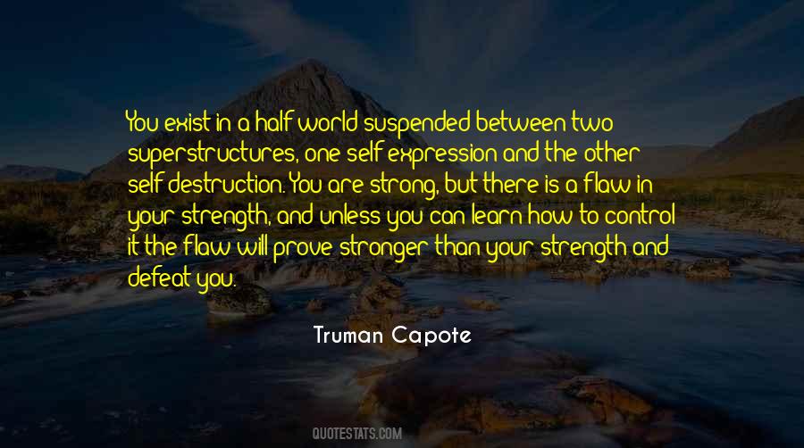Inspirational Volleyball Setter Quotes #473710