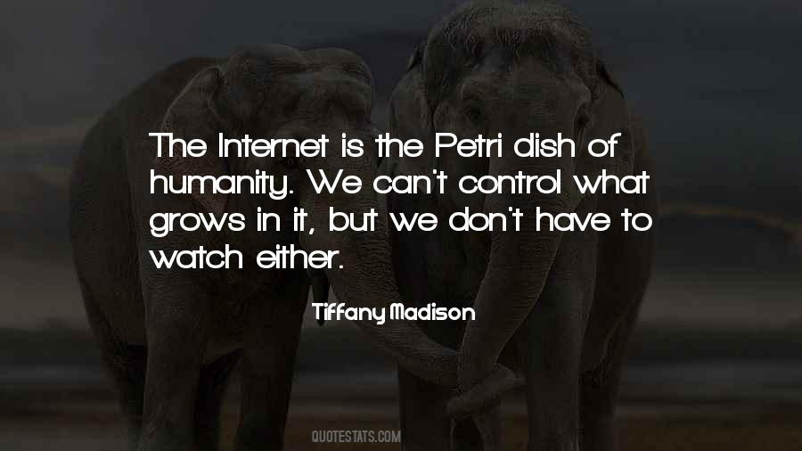 Internet And Technology Quotes #701363