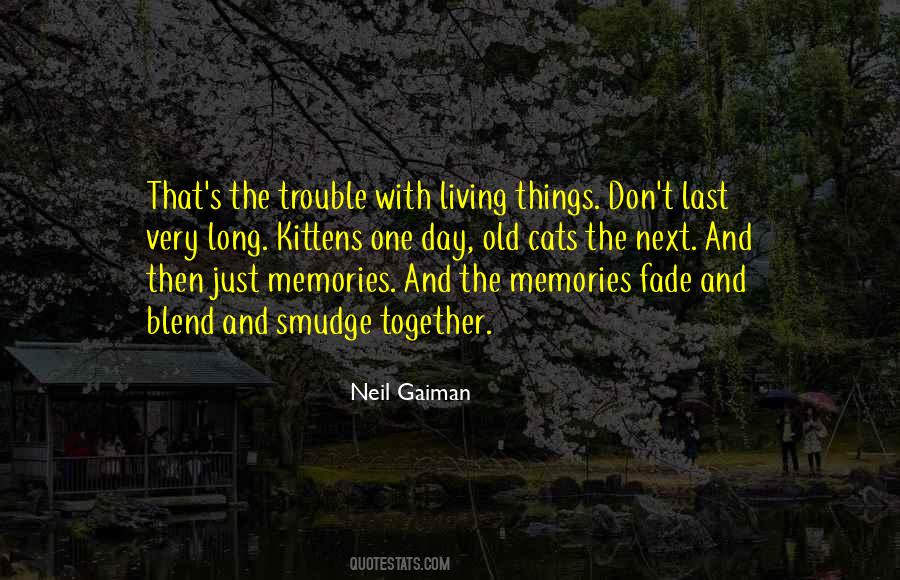 Internet Meme Quotes #1528653
