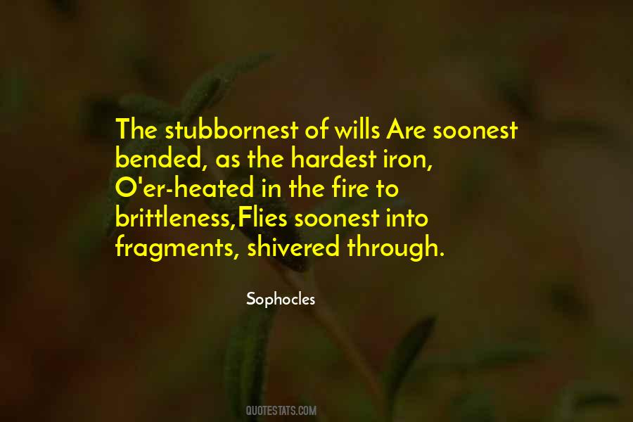 Into The Fire Quotes #369565 Into The Fire Quotes #369565
