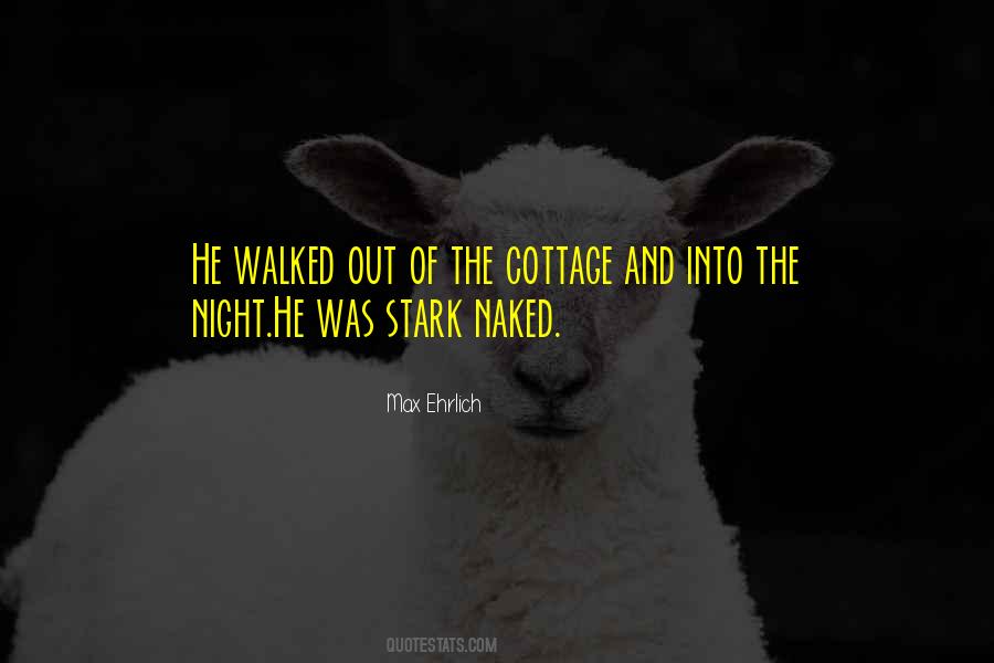 Into The Night Quotes #1643689