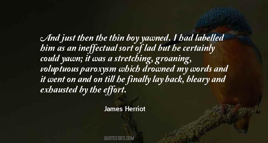 Involution Quotes #1348012