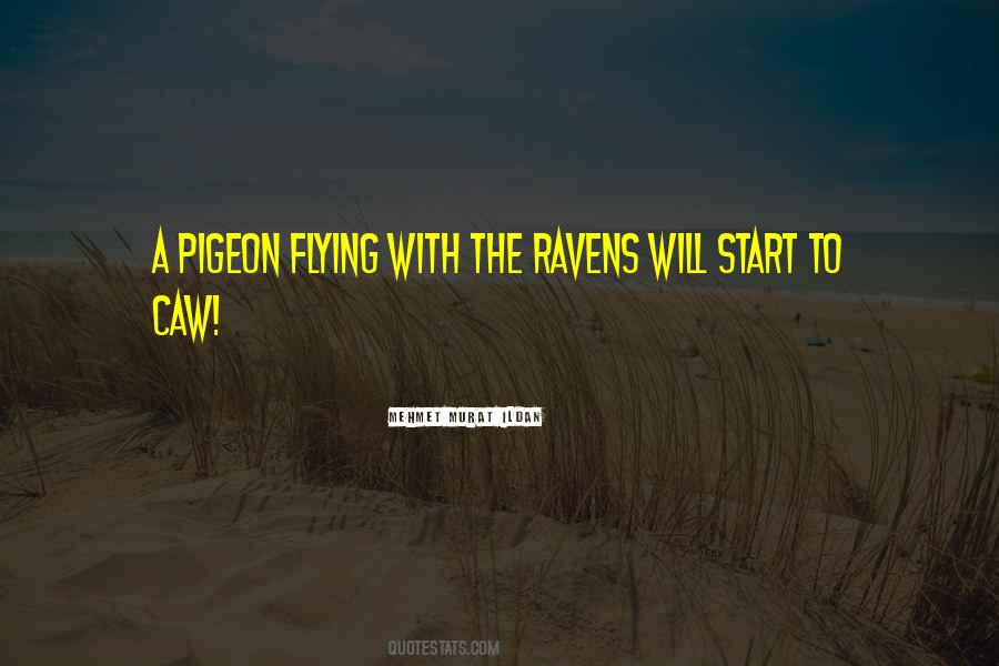 Irish Blessing And Quotes #351248