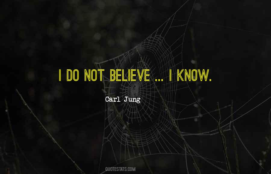 Iron And Silk Quotes #73629