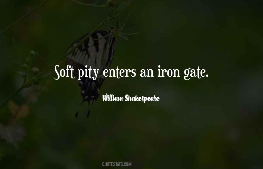 Iron Gate Quotes #1359980