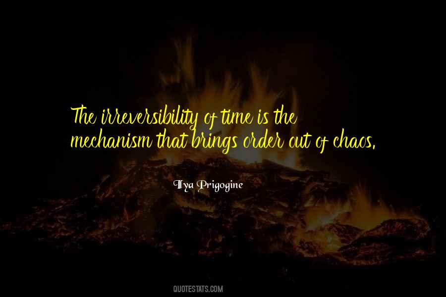 Irreversibility Of Time Quotes #572074