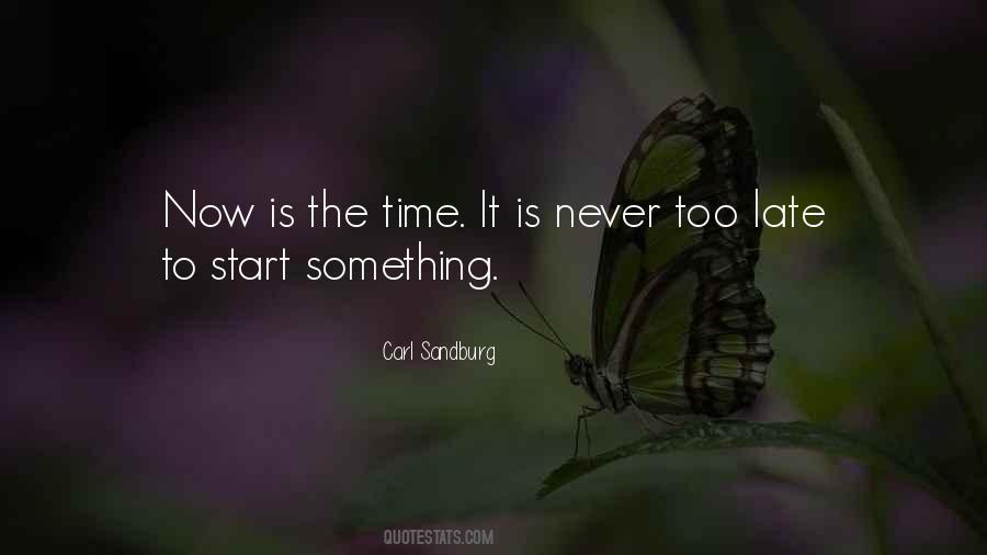 Is Never Too Late Quotes #596103