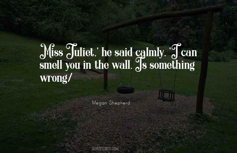 Is Something Wrong Quotes #122274