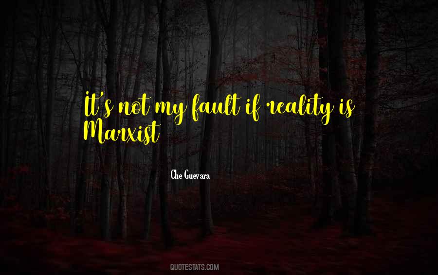 It Is Not My Fault Quotes #1173609