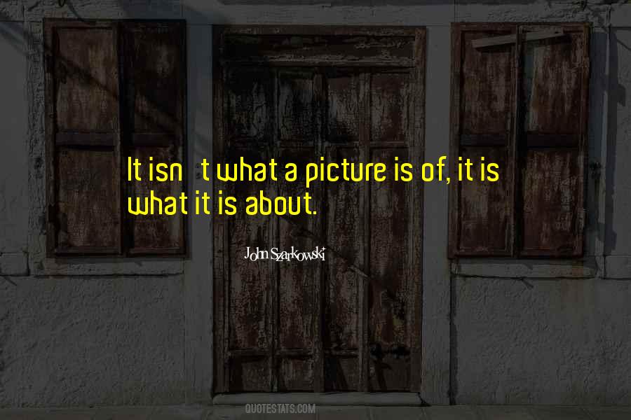 It Is What It Is Quotes #1489752